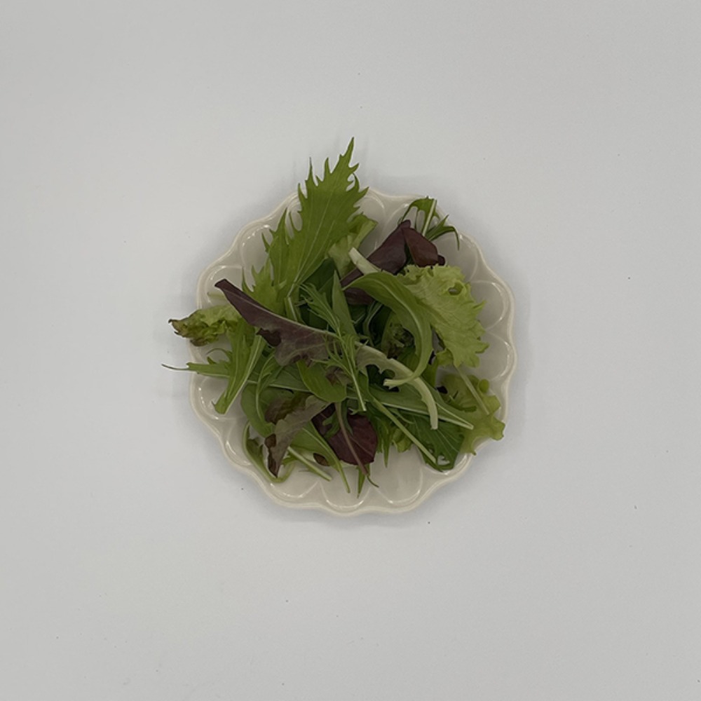 有機オーガニック　ベビーリーフ40g(べびーりーふ)20058803