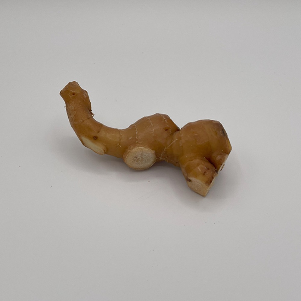 有機オーガニック　しょうが(ショウガ・生姜)袋　80g