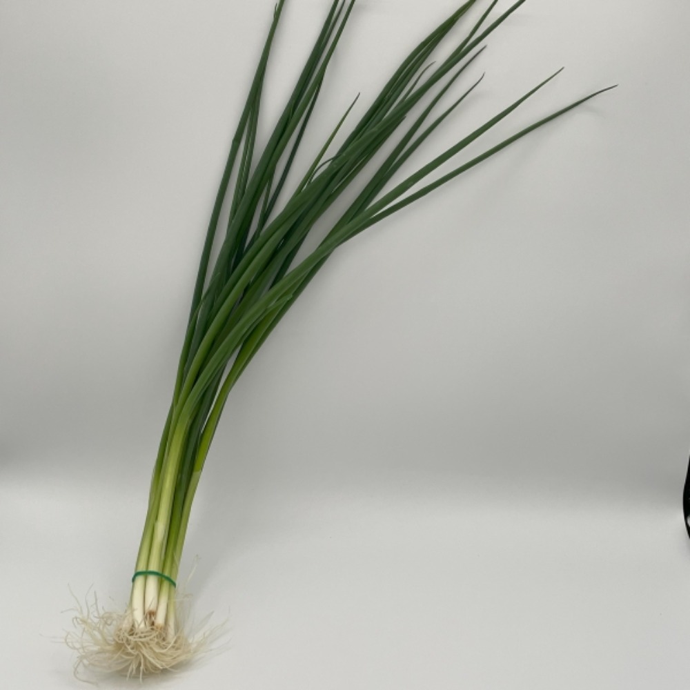 特栽　こねぎ(コネギ・小葱)袋　80g