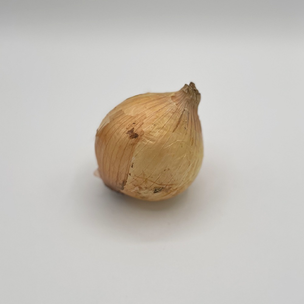 有機オーガニック　たまねぎ(タマネギ・玉葱)袋　300g