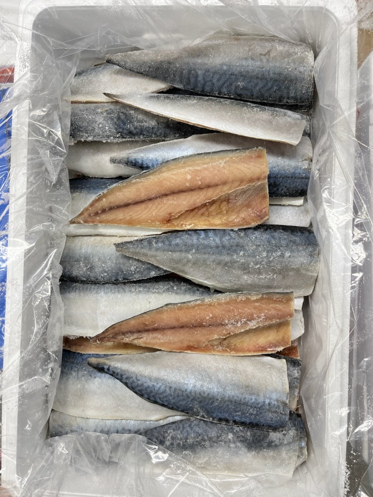 塩サバフィレ　40枚　国産