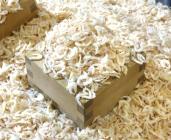 �X�܎ʐ^�E���S