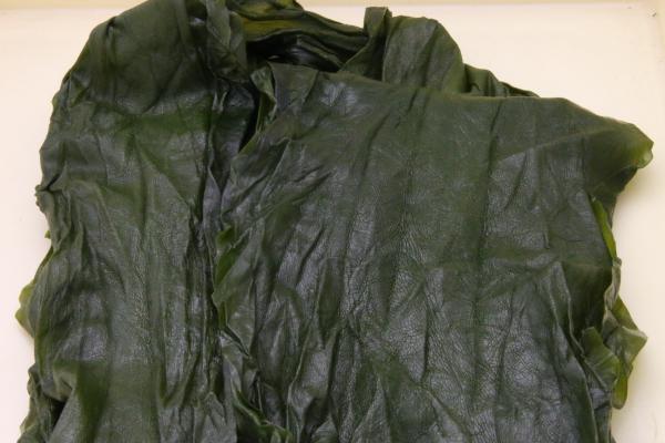 ◆送料込み◆三陸産　湯通し塩蔵こんぶ　15ｋｇx1袋入