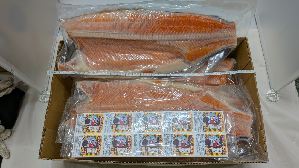 �y���؉��i�z�Ⓚ�艖����t�B���i��B���傤�䕗���j�i3�����j