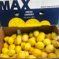 野菜果物王国カリスの森【アメリカ・チリ産】青果レモン　10kg