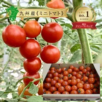 野菜果物王国カリスの森【九州産】青果ミニトマト　3kg