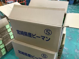 野菜果物王国カリスの森【九州産】青果ピーマン　4kg