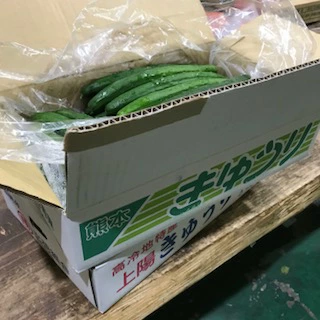 野菜果物王国カリスの森【九州産】青果きゅうり　5kg