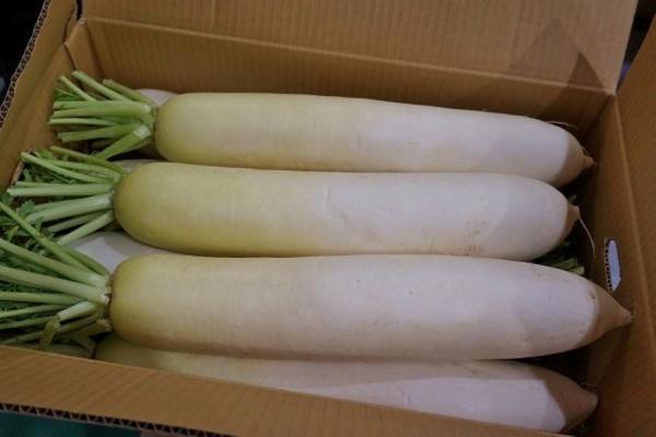 ��؉ʕ������J���X�̐X�y��B�Y�z�ʑ卪�@10kg