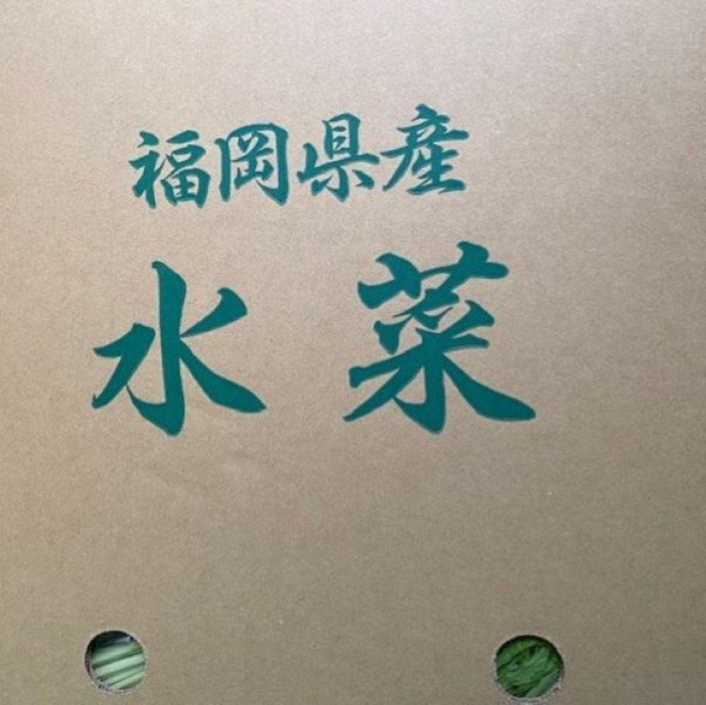 野菜果物王国カリスの森【九州産】水菜　４ｋｇ