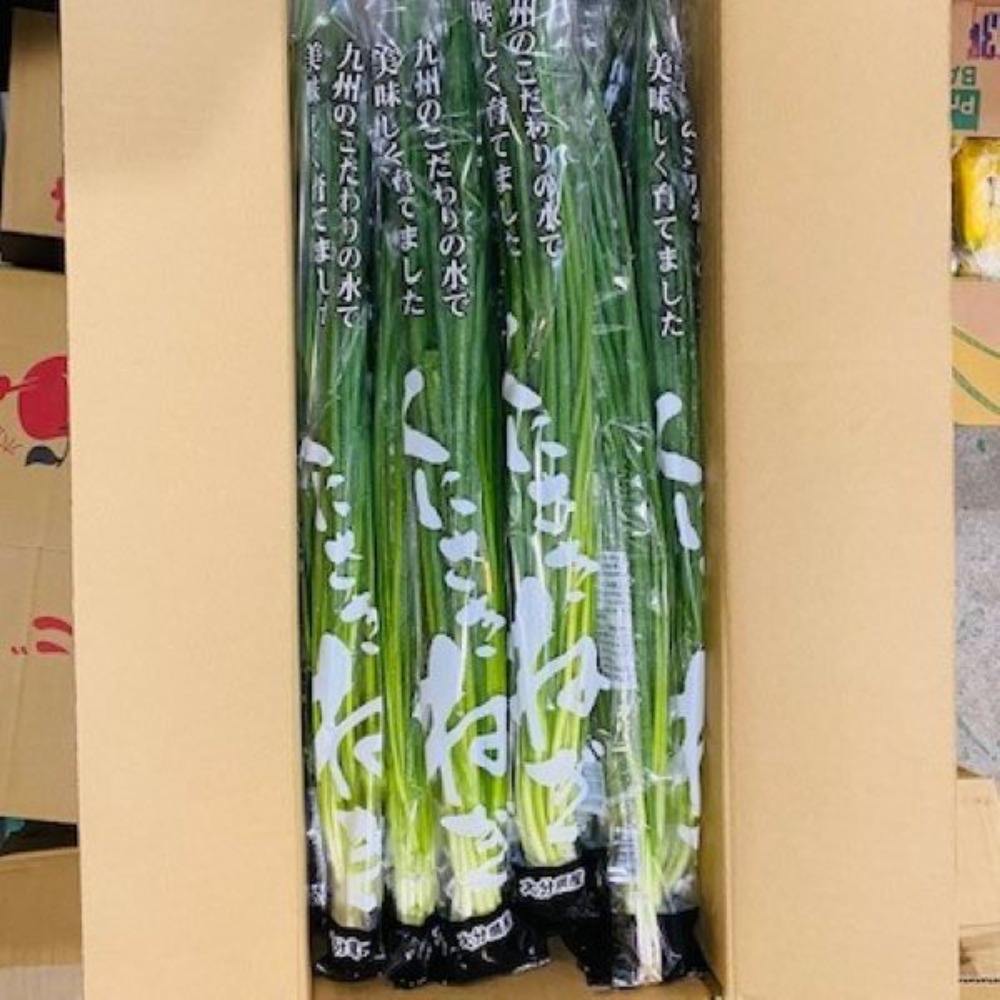 野菜果物王国カリスの森【九州産】小ねぎ　3kg