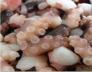 �i����M�j�@�J�b�g�^�R�i����@4/5g�j1kg