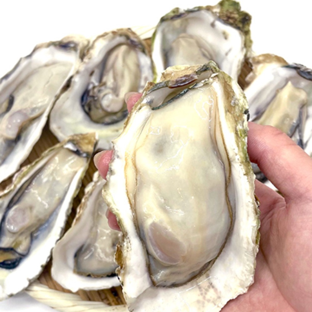 �y�����ʁz���M�p�@���y�Ⓚ�@�{�錧�Y�@2kgx5�@�k�t