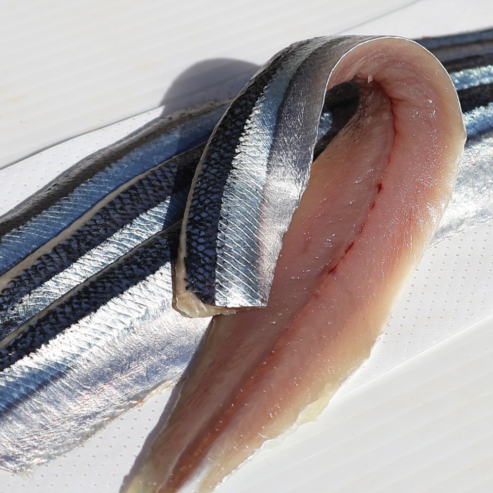 �Ⓚ�@���H�@����܃t�B����@4��x10�@��茧�@�h�g�p�@�^��