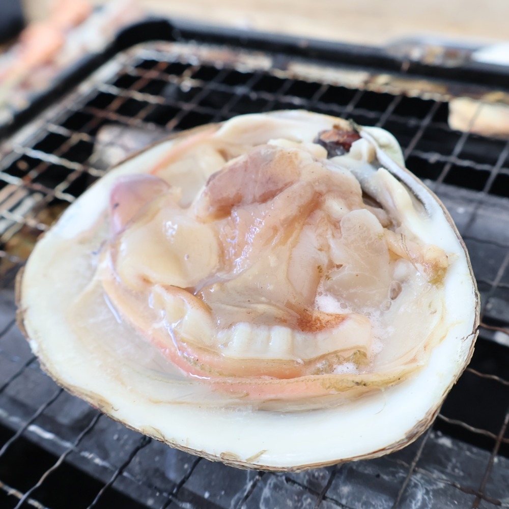 生食可　ホッキ貝　内臓除去済　1kg(7-9個入)　青森　冷凍　片貝