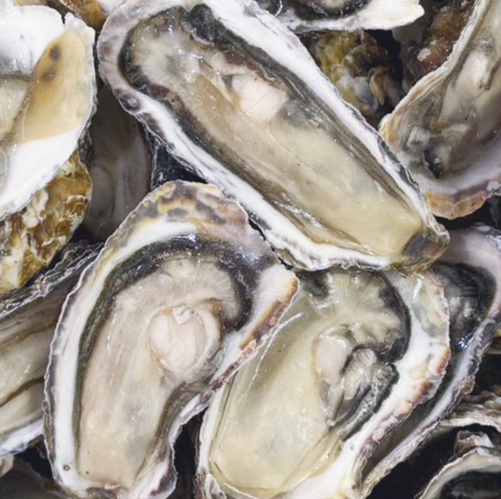 冷凍　牡蠣ハーフシェル　2L　約96個入　7.5kg　加熱用