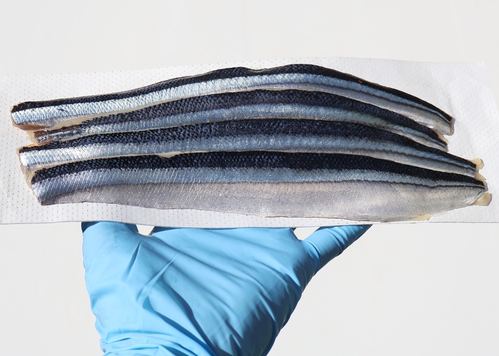 冷凍　生食　さんまフィレ大　4枚x100　岩手県　刺身用　真空