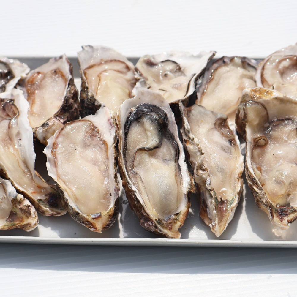 冷凍　牡蠣ハーフシェル　12個x6袋　加熱用　韓国