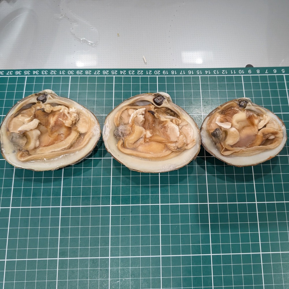 生食可　ホッキ貝　内臓除去済　1kg(7-9個入)　青森　冷凍　片貝