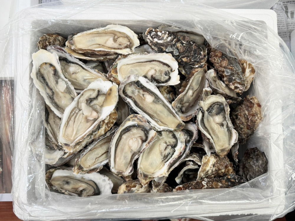 冷凍　牡蠣ハーフシェル　2L　約96個入　7.5kg　加熱用