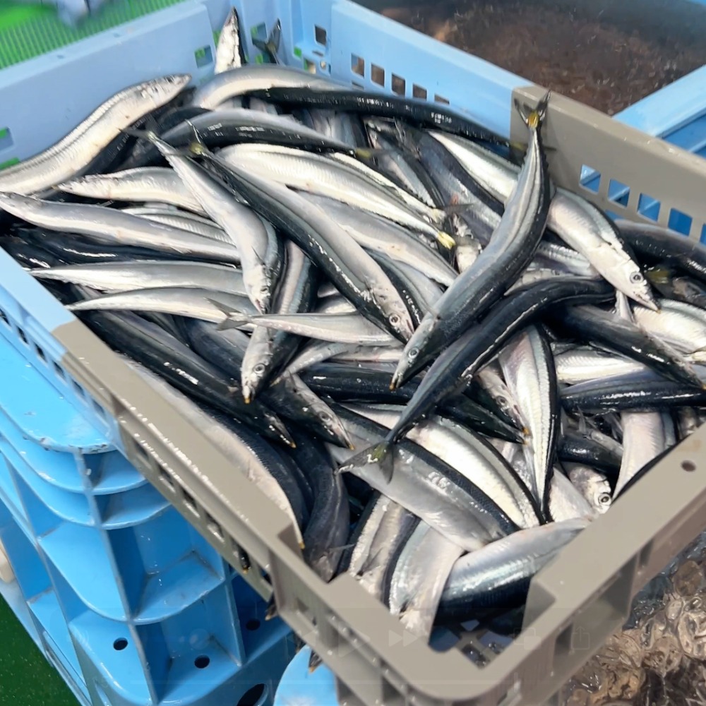 冷凍　生食可　さんま　100-130g/尾　岩手県　4尾x10袋　秋刀魚