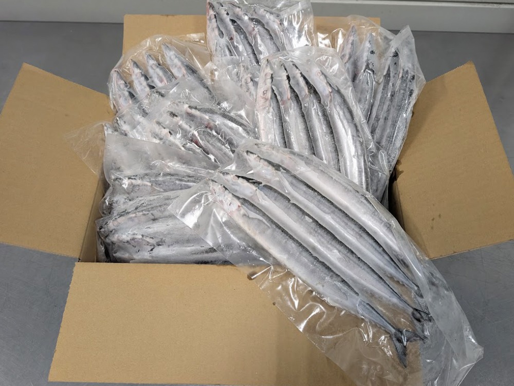 冷凍　生食可　さんま　100-130g/尾　岩手県　4尾x10袋　秋刀魚