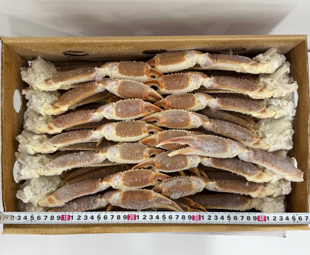 �y�����ʁz���Y���C�K�j�Z�N�V����4L�i5K)�@101352�@�I�@���Ɂ@