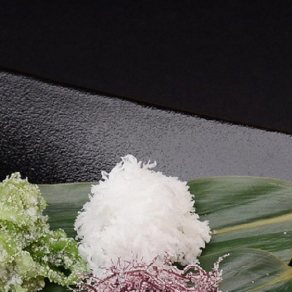 白とさか　1K　101020　海藻サラダ　刺身（ロット5PC以上）