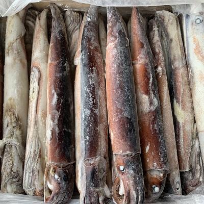 �D���X�����C�JIQF�@�Q�U�|�R�O���@�h�g�@�\�@�@100�T�C�Y