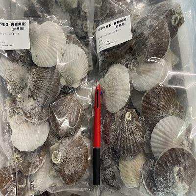 青森県産ホタテ　稚貝　　400gパック