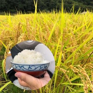 �y�����ʁz�����Y���ā@�Ɩ��p�u�����h�@(������s�j30kg