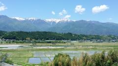 �X�܎ʐ^�E���S