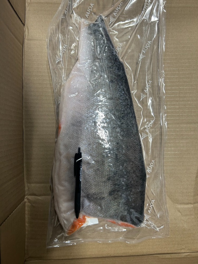 刺身用　チリ銀鮭トリムC（皮付き）10ｋｇ9-10枚入　