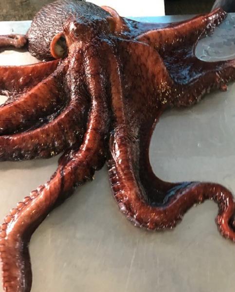 青森県産】生冷水タコ足(真空)