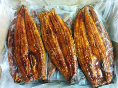 蒲焼きうなぎ　無頭背開き（20尾/10kg）土用の丑の日　鰻