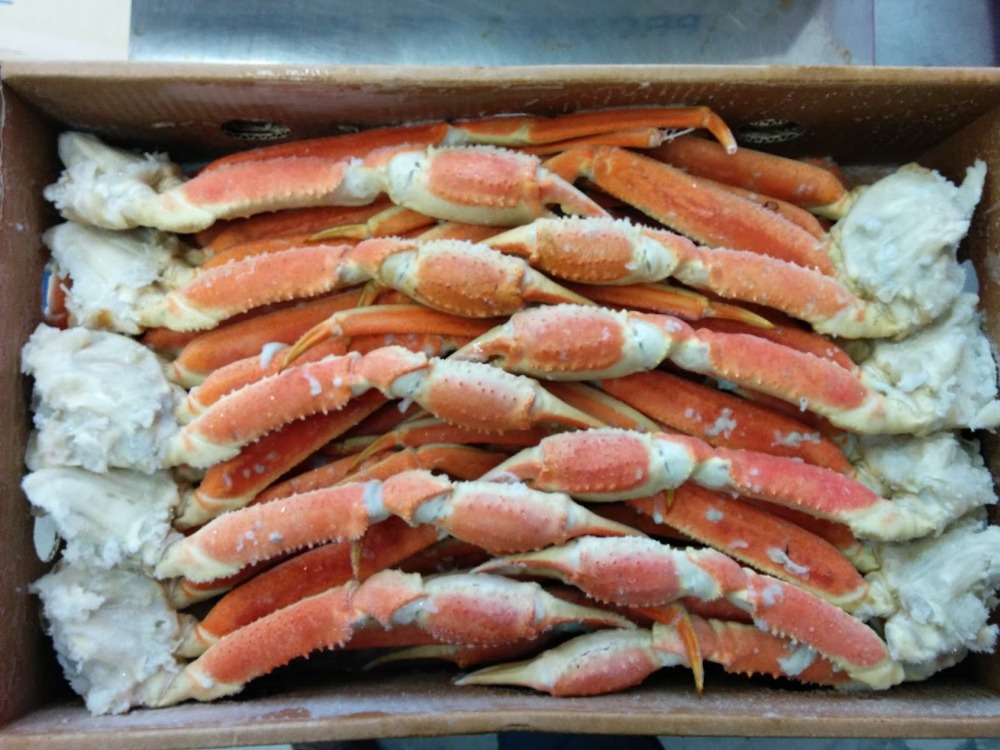 �{�C���Y���C�K�j�@�Z�N�V�����i���E�r�j2�k