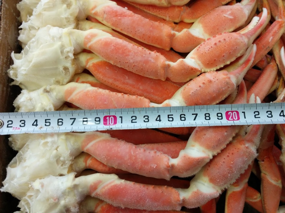 ボイルズワイガニ　セクション（肩・脚）2Ｌ