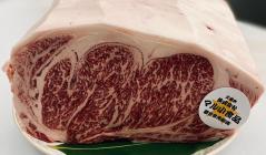 �X�܎ʐ^�E���S