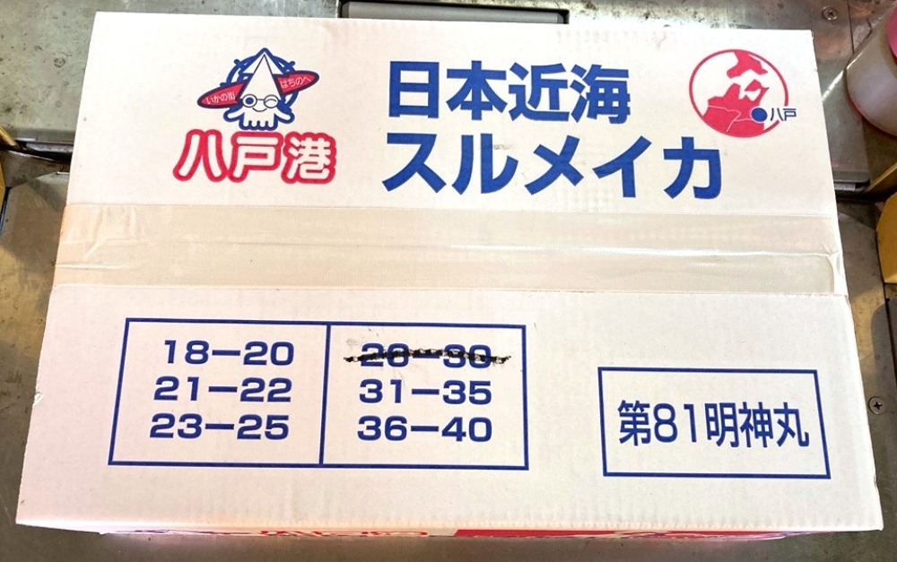 【最高鮮度】船凍スルメイカ　8kg26-30　1尾約285g