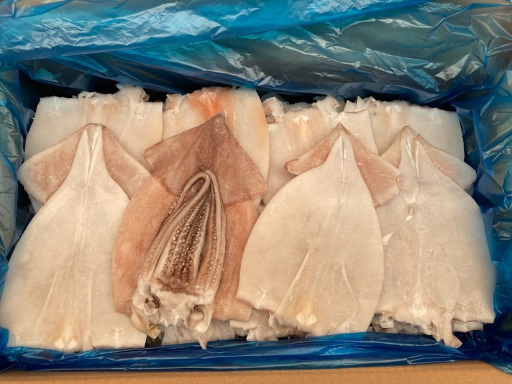 【バラ凍結】開きいか　下足付き　7キロ35枚（約22ｃｍ/200ｇ）