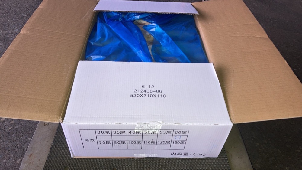 【中国産】マツイカつぼ抜き60尾（7.5kg）　1尾約125g
