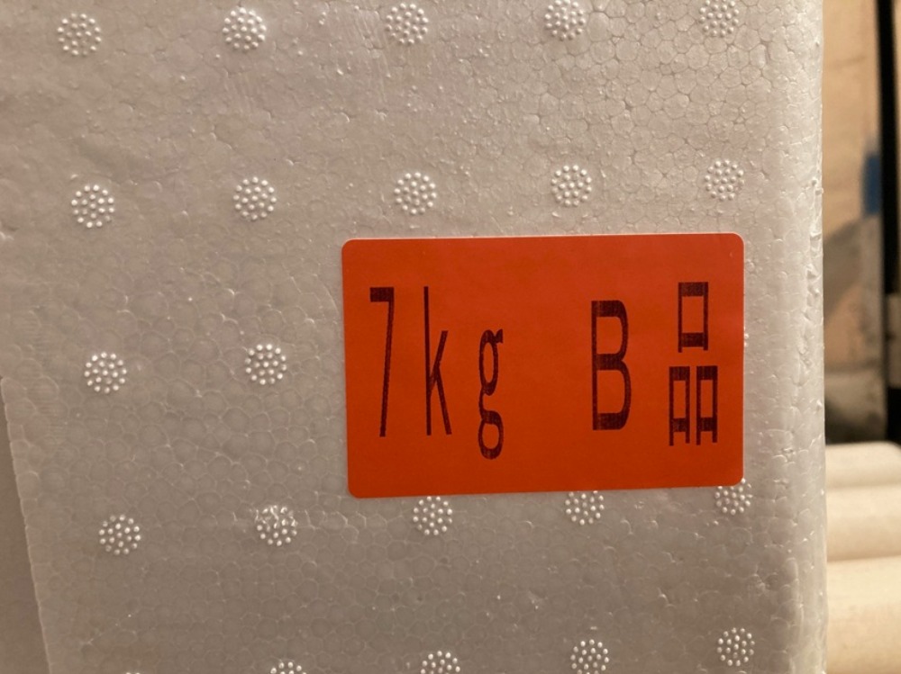 【生食用】刺身いか規格外品　青森県産するめいか　サイズＭＩＸ