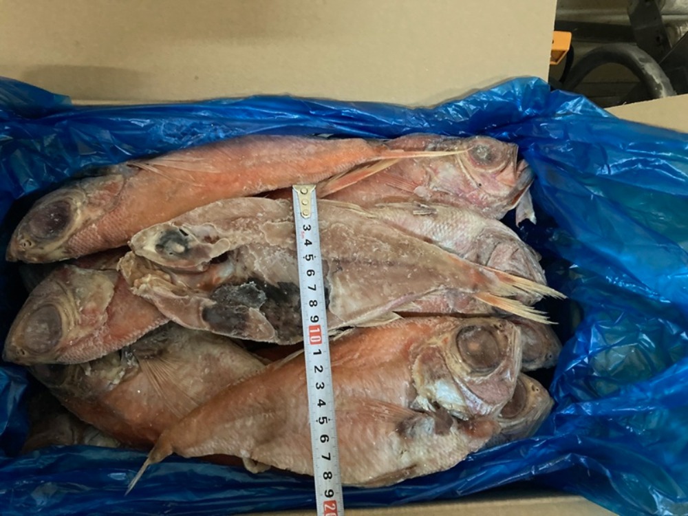 金目鯛一夜干し　5kg26-30枚　センターカット　青森県産