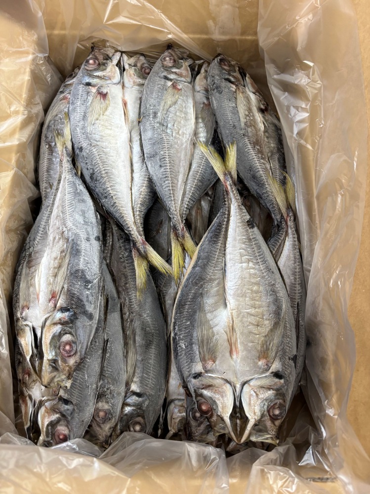 �y�����ʁz���Y�傠���J���i�����E�Ђ��́j250��20����