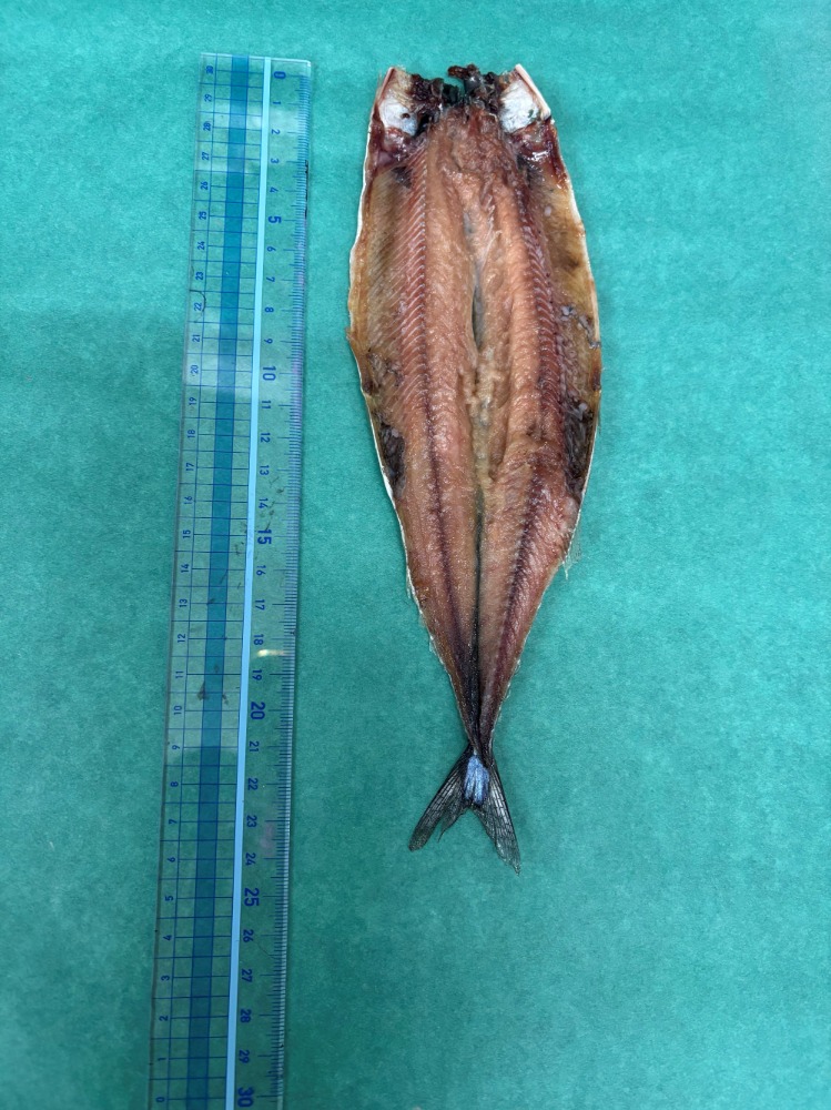 【北海道産】さんまみりん(干物・ひもの・みりん干し)　約60gx40