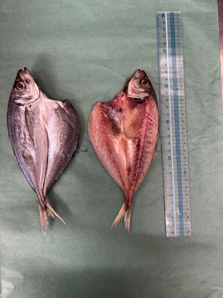 三重県産あじ開き(干物・ひもの）1枚約80ｇx20枚入