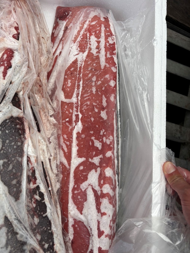 【三重県産】加熱・加工用キハダマグロロイン