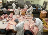 �X�܎ʐ^�E���S