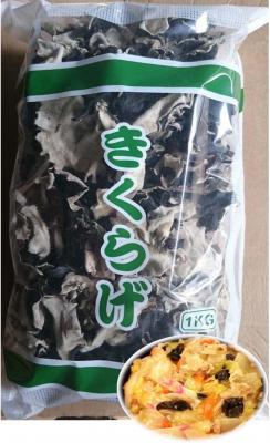 ����؂Ȃǂ̒��ؗ����ɁI�����Y�@�����؎��z�[���@�P����