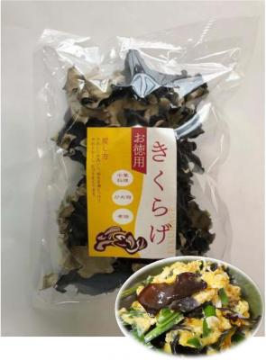 �����Y�@�����؎��@�P�O�O���i5��x13�j